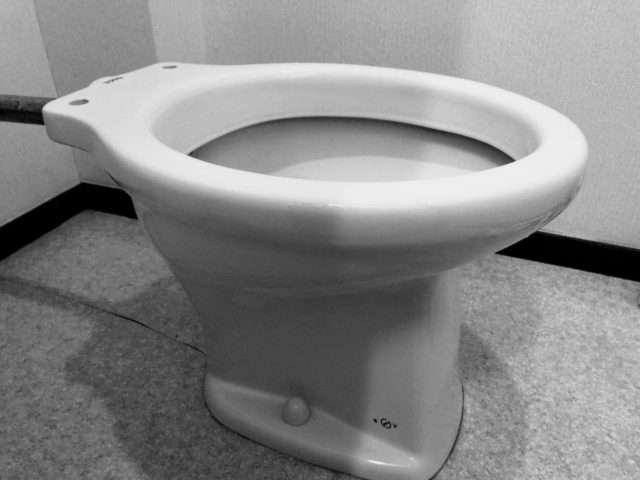 トイレの便座と蓋はいらない！フランスのミニマリズムから学び!掃除が超簡単、ウォッシュレット付きは手動ウォッシュに変更