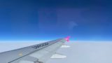 真っ青な空と飛行機の翼